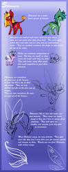 Size: 1789x4524 | Tagged: safe, artist:fuyusfox, oc, oc only, breezie, original species, pony, skimmer, antennae, colored hooves, female, filly, flying, foal, gossamer wings, herbivore, leonine tail, male, mare, pale belly, reference sheet, scales, semi-open species, skimming, slit pupils, species reference, stallion, standing, tail, two toned mane, two toned tail, water, wings