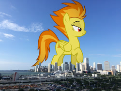 Size: 2032x1524 | Tagged: safe, artist:dashiesparkle, edit, editor:jaredking779, spitfire, pegasus, pony, g4, attack on pony, female, florida, folded wings, giant pony, giantess, highrise ponies, irl, lidded eyes, macro, mare, miami, photo, ponies in real life, raised hoof, red eyes, solo, story included, vulgar description, wings
