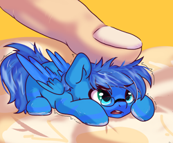 Size: 3000x2500 | Tagged: safe, artist:ichigokristina, oc, oc only, human, pegasus, pony, commission, cute, finger, followers, glare, glasses, in goliath's palm, lying down, micro, open mouth, pinned, prone, size difference, solo, solo focus, tiny, tiny ponies, trembling