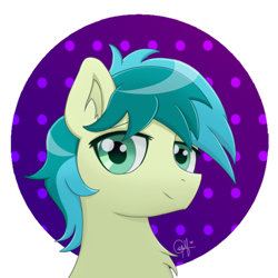 Size: 768x767 | Tagged: safe, artist:gabymc1503, sandbar, earth pony, pony, g4, bust, male, solo, stallion