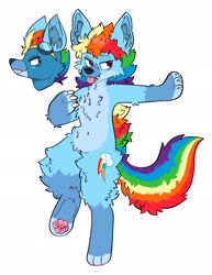 Size: 1578x2048 | Tagged: safe, artist:spookyfoxinc, rainbow dash, wolf, anthro, g4, furrified, furry, paws, simple background, solo, species swap, white background, wolfified