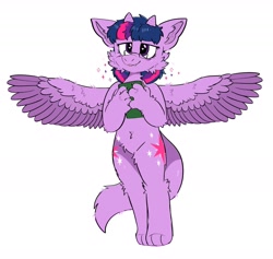 Size: 1952x1851 | Tagged: safe, artist:spookyfoxinc, twilight sparkle, alicorn, dragon, anthro, g4, dragonified, furrified, furry, simple background, solo, species swap, twilidragon, twilight sparkle (alicorn), white background