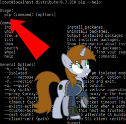 Size: 394x387 | Tagged: safe, oc, oc only, oc:littlepip, pony, unicorn, fallout equestria, g4, arrow, clothes, female, jumpsuit, linux, mare, name joke, python (language), terminal, vault suit