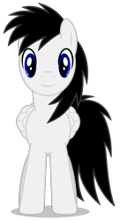 Size: 2500x4585 | Tagged: safe, artist:creedyboy124, oc, oc only, oc:shane park, pegasus, pony, g4, front view, male, simple background, smiling, solo, stallion, transparent background