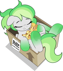 Size: 4407x5000 | Tagged: safe, artist:jhayarr23, oc, oc only, oc:crumb, oc:flying colors (ktubosi83), horse, pegasus, pony, absurd resolution, box, cardboard box, cute, female, floppy ears, plushie, pony in a box, simple background, sleeping, solo, transparent background