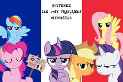 Size: 1920x1280 | Tagged: safe, applejack, fluttershy, pinkie pie, rainbow dash, rarity, twilight sparkle, alicorn, earth pony, pegasus, pony, unicorn, g4, equestria girls logo, female, flag, france, french, my little pony logo, sign, support, twilight sparkle (alicorn)