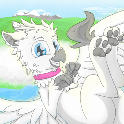 Size: 3640x3641 | Tagged: safe, artist:pzkratzer, oc, oc:griffin zephyr, griffon, butt, flying, looking at you, lying down, mountain, on back, paws, plot, smiling, solo, underpaw
