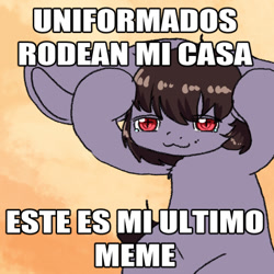 Size: 480x480 | Tagged: safe, artist:aliceg, oc, oc only, oc:aliceg, pegasus, pony, female, mare, meme, ponified meme, solo, spanish, text, translated in the comments