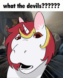 Size: 1150x1401 | Tagged: safe, artist:aliceg, oc, oc only, oc:lazy sunday, cat, pony, unicorn, behaving like a cat, female, gumpy, looking at you, mare, meme, ponified animal photo, ponified meme, silly, solo, what the devils