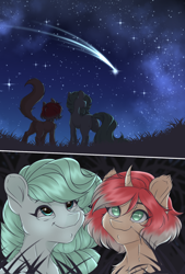 Size: 1300x1920 | Tagged: safe, artist:reins, oc, oc:kllasiya, earth pony, pony, butt, butt fluff, duo, night, plot, shooting star, stars