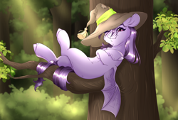 Size: 2668x1805 | Tagged: safe, artist:reins, oc, oc only, bat pony, pony, forest, hat, in a tree, nature, solo, tree, tree branch, wizard hat