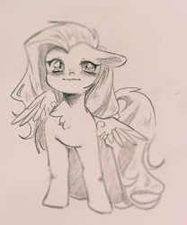 Size: 2000x2399 | Tagged: safe, artist:不可食用骨, fluttershy, pegasus, pony, g4, pencil drawing, smiling, solo, traditional art