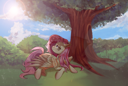 Size: 1748x1181 | Tagged: safe, artist:不可食用骨, fluttershy, pegasus, pony, g4, day, female, lens flare, looking up, lying down, mare, outdoors, partially open wings, solo, sunlight, tree, turned head, under the tree, wings