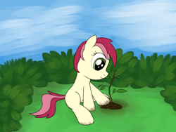 Size: 2000x1500 | Tagged: safe, artist:craftycirclepony, roseluck, pony, g4, bush, dirt, female, filly, foal, gardening, outdoors, sapling, sitting, sky, solo, younger