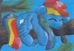 Size: 2560x1760 | Tagged: safe, artist:chevaleto, derpibooru exclusive, rainbow dash, pegasus, pony, g4, acrylic painting, eyes closed, lying down, sleeping, solo, traditional art, tree, tree branch, wings