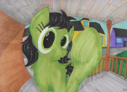 Size: 6864x4960 | Tagged: safe, artist:dhm, oc, oc only, oc:filly anon, pony, brick, brick wall, bush, colored pencil drawing, door, female, filly, fisheye lens, house, looking at you, marker drawing, pen drawing, pencil drawing, perspective, porch, raised hoof, rooftop, shading, sidewalk, solo, street, traditional art, window, wood, yard