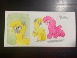 Size: 4032x3024 | Tagged: safe, artist:lost marbles, derpy hooves, pinkie pie, alpaca, g4, alpacafied, duo, mixed media, species swap, traditional art, watercolor painting