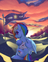 Size: 1950x2500 | Tagged: safe, artist:silverhopexiii, rainbow dash, pegasus, pony, g4, alternate timeline, apocalypse dash, crystal war timeline, female, mare, missing limb, missing wing, solo