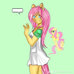Size: 693x693 | Tagged: safe, artist:friedneuronss, fluttershy, human, pegasus, pony, g4, eared humanization, green background, humanized, looking at you, no pupils, simple background