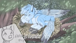 Size: 2560x1440 | Tagged: safe, artist:vepital', oc, oc only, pegasus, pony, nest, sleeping, solo, tree, tree branch