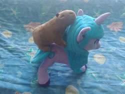 Size: 4000x3000 | Tagged: safe, izzy moonbow, capybara, g5, irl, photo, plushie, riding, toy