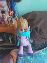 Size: 3000x4000 | Tagged: safe, izzy moonbow, princess luna, sunset shimmer, twilight sparkle, alicorn, capybara, original species, rabbit, unicorn, equestria girls, g4, g5, animal, female, irl, on head, photo, plushie, riding, twilight sparkle (alicorn)