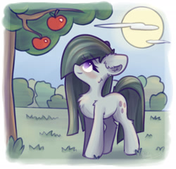 Size: 2600x2500 | Tagged: safe, artist:kindny-chan, marble pie, earth pony, pony, g4, apple, female, food, mare, solo, tree