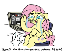 Size: 749x618 | Tagged: safe, artist:jargon scott, angel bunny, fluttershy, pegasus, pony, rabbit, g4, animal, computer, crying, duo, duo male and female, escii keyboard, female, floppy ears, fluttercry, laptop computer, male, mare, runny nose, simple background, sitting, snot, solo, traumatized, underhoof, white background, xhamster