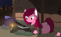 Size: 4096x2480 | Tagged: safe, artist:mairiathus, earth pony, pony, book, brown eyes, gun, helmet, lantern, light, night, not pinkie pie, pink skin, reading, sleeping, soldier, stars, war, weapon