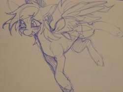 Size: 4079x3073 | Tagged: safe, artist:tendocake, derpy hooves, pegasus, pony, g4, ear fluff, flying, marker drawing, smiling, solo, traditional art