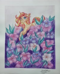 Size: 3072x3804 | Tagged: safe, artist:jsunlight, sunset shimmer, pony, unicorn, g4, high res, solo, traditional art