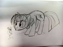 Size: 4160x3120 | Tagged: safe, artist:dhm, twilight sparkle, pony, g4, cute, flower, monochrome, sketch, solo, traditional art