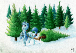 Size: 3411x2387 | Tagged: safe, artist:antnoob, artist:lightsolver, crosscut mccolt, earth pony, pony, g4, christmas, christmas tree, colored, female, forest, high res, holiday, looking at you, mccolt family, nature, outdoors, pulling, snow, solo, traditional art, tree, watercolor painting, winter
