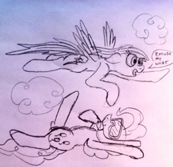 Size: 3243x3120 | Tagged: safe, artist:dhm, pinkie pie, rainbow dash, pony, g4, cloud, flying, high res, monochrome, sketch, speech bubble, swimming, traditional art, wtf