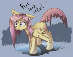 Size: 2707x2126 | Tagged: safe, artist:breakdream, fluttershy, pegasus, pony, g4, chest fluff, engrish, female, fluffy, implied rainbow dash, mare, prank, rainbow douche, solo, tail, wet, wet mane, wet tail