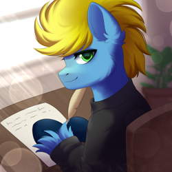 Size: 1500x1500 | Tagged: safe, artist:alunedoodle, oc, earth pony, pony, bust, clothes, feather, looking back, male, plant, portrait, room, solo, sun, sweater, window, writing