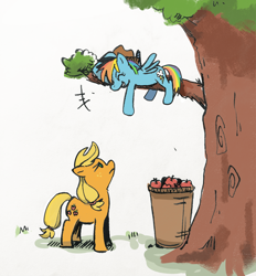 Size: 2890x3113 | Tagged: safe, artist:pipicangshuya32397, applejack, rainbow dash, earth pony, pegasus, pony, g4, accessory swap, accessory theft, annoyed, apple, basket, duo, female, food, mare, simple background, smiling, tree, white background