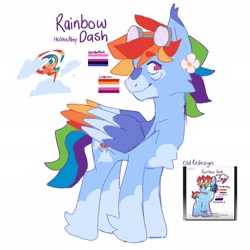 Size: 2048x2048 | Tagged: safe, artist:gumba1ls, rainbow dash, g4, colored wings, flower, genderfluid pride flag, goggles, goggles on head, headcanon, lesbian pride flag, multicolored wings, pride, pride flag, rainbow wings, reference sheet, simple background, white background, wings