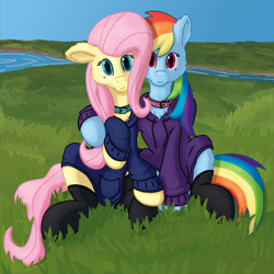 Size: 2160x2160 | Tagged: safe, artist:callichrome, fluttershy, rainbow dash, pegasus, pony, g4, clothes, collar, cute, dashabetes, female, grass, grass field, hoodie, hug, lesbian, looking at you, river, ship:flutterdash, shipping, shyabetes, socks, stockings, thigh highs, water
