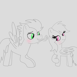 Size: 1400x1400 | Tagged: safe, artist:mrsdashskies, rainbow dash, soarin', pegasus, pony, g4, blushing, female, flower, looking at each other, looking at someone, male, mare, rose, ship:soarindash, shipping, sketch, smiling, smiling at each other, stallion, straight
