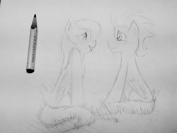 Size: 749x562 | Tagged: safe, artist:pinkiewhite555, rainbow dash, soarin', pegasus, pony, g4, female, male, mare, ship:soarindash, shipping, sketch, stallion, straight, traditional art