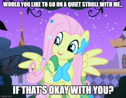 Size: 641x499 | Tagged: safe, edit, edited screencap, screencap, fluttershy, g4, the best night ever, bronybait, caption, clothes, dress, gala dress, image macro, imgflip, talking to viewer, text