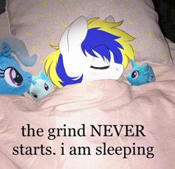 Size: 828x802 | Tagged: safe, artist:higglytownhero, edit, trixie, oc, oc only, oc:juby skylines, pony, g4, eyes closed, irl, male, meme, photo, photo edit, plushie, ponies in real life, ponified animal photo, ponified meme, sleeping, solo, stallion, text