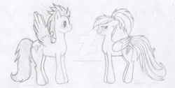 Size: 750x377 | Tagged: safe, artist:fluttersfan888, rainbow dash, soarin', pegasus, pony, g4, duo, female, male, mare, ship:soarindash, shipping, sketch, stallion, straight, traditional art