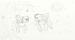 Size: 750x399 | Tagged: safe, artist:aynstainxpenelope, rainbow dash, soarin', pegasus, pony, g4, duo, female, male, mare, mistletoe, ship:soarindash, shipping, sketch, stallion, straight, traditional art