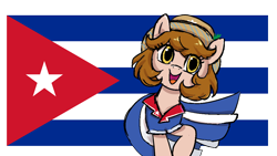 Size: 1920x1080 | Tagged: safe, artist:brella, oc, earth pony, pony, cuba, nation ponies, national flag, ponified, solo