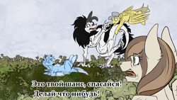 Size: 4000x2250 | Tagged: safe, artist:vepital', oc, pegasus, bush, cyrillic, hat, lying down, on back, open mouth, translated in the comments