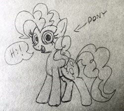 Size: 3459x3099 | Tagged: safe, artist:dhm, pinkie pie, earth pony, pony, g4, cute, greeting, hi, high res, label, looking at you, monochrome, sketch, solo, speech bubble, traditional art