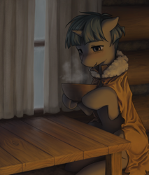 Size: 1684x1972 | Tagged: safe, artist:aquoquoo, stygian, pony, unicorn, g4, bowl, cloak, clothes, coat, cozy, curtains, food, hoof hold, male, solo, soup, stallion, table, window