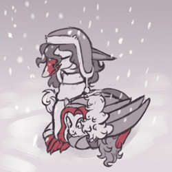 Size: 800x800 | Tagged: safe, artist:mr.catfish, oc, oc:jan, oc:michael pegasus, bird, griffon, pegasus, swan, caption, clothes, duo, eared griffon, ears back, folded wings, image macro, red mane, scarf, scrunchy face, sitting, smiling, snow, snowfall, snowflake, text, wings